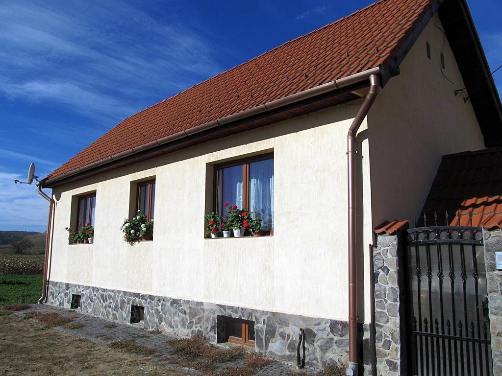 Casa Simion Vila Sibiu Exterior foto